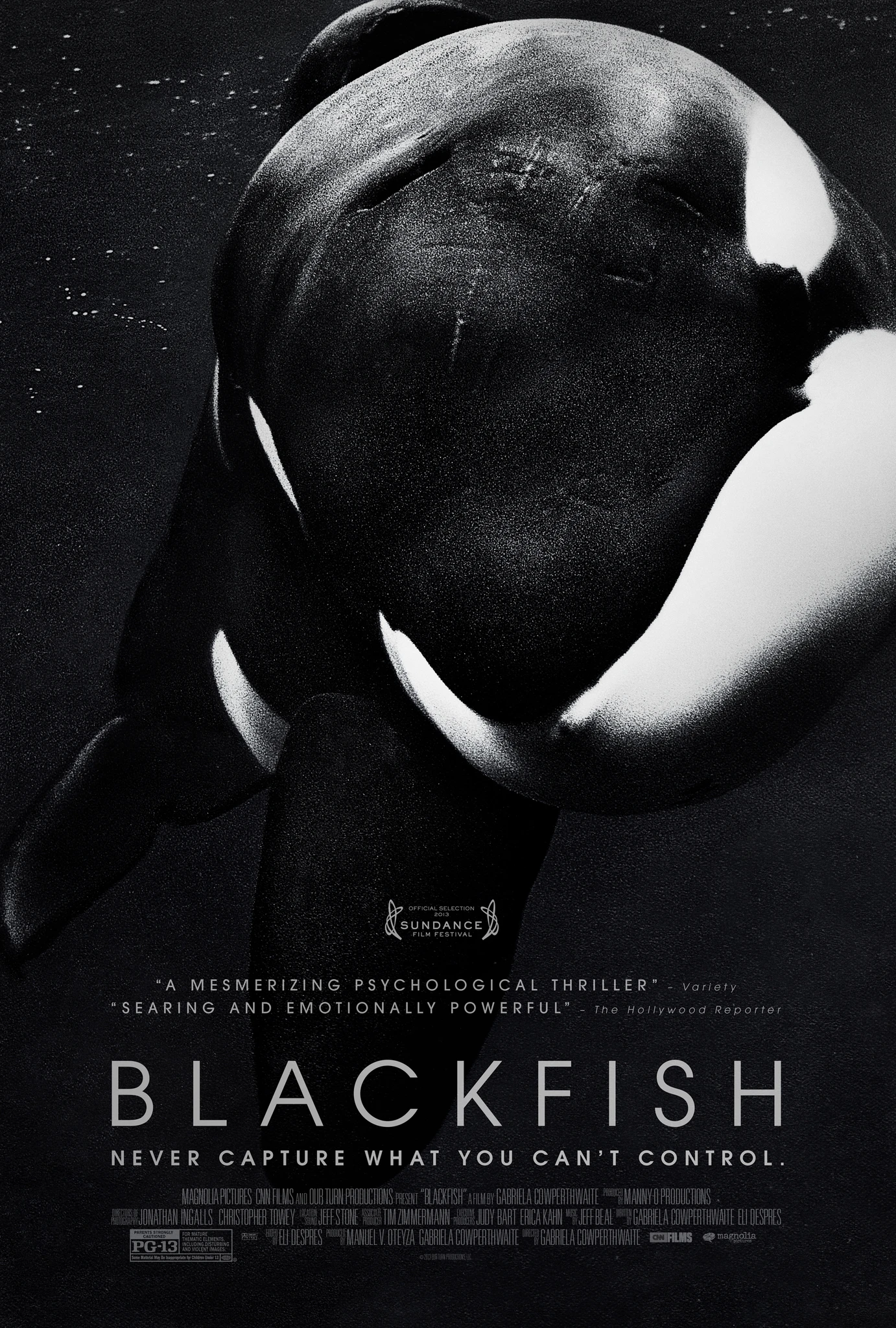 Cá đen | Blackfish (2013) Cá đen | Blackfish (2013)