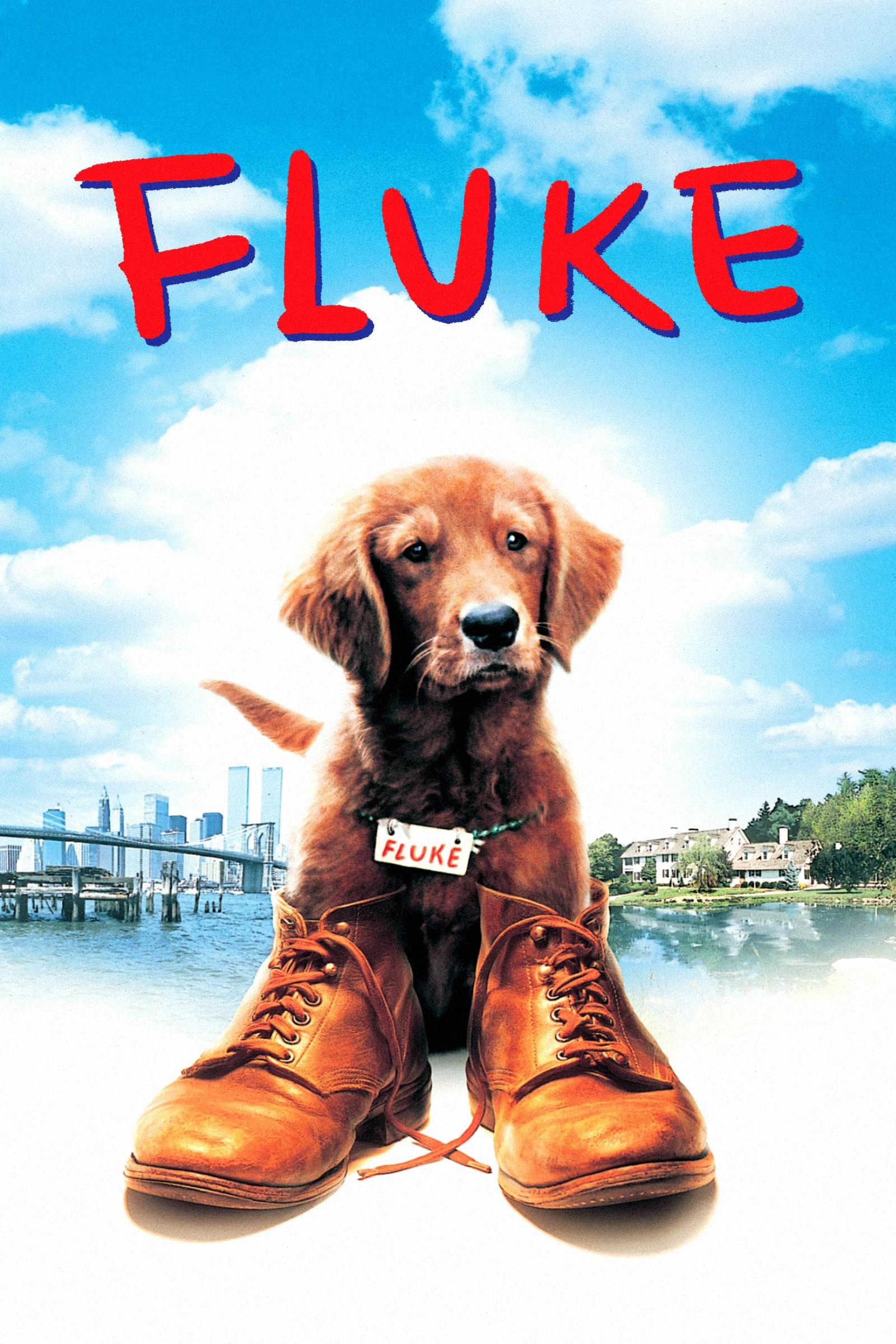 Chú Chó Fluke | Fluke (1995) Chú Chó Fluke | Fluke (1995)
