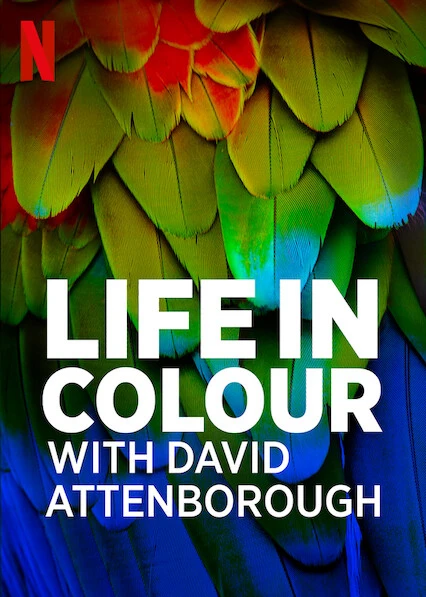 David Attenborough: Sự sống đầy màu sắc | Life in Colour with David Attenborough (2021) David Attenborough: Sự sống đầy màu sắc | Life in Colour with David Attenborough (2021)